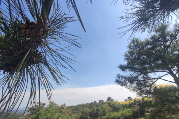 沈阳墓园的墓地设计 沈阳墓园的墓地设计