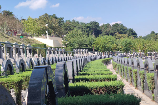 沈阳墓园坟头长草好不好?有什么说法吗? 沈阳墓园坟头长草好不好?有什么说法吗?