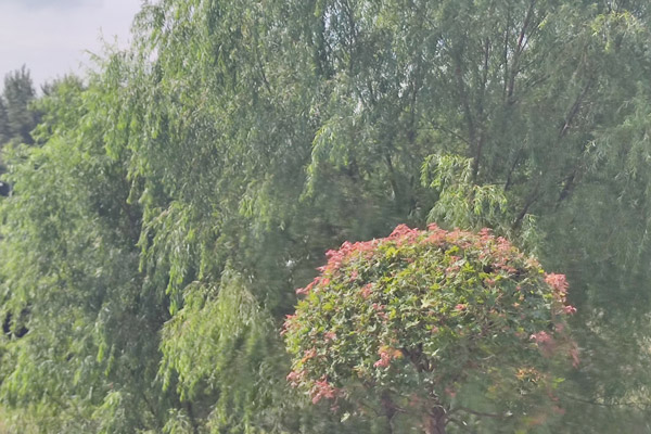 沈阳陵园骨灰寄存服务，骨灰寄存和壁葬该怎么选？