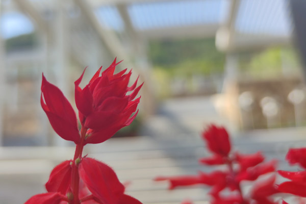 沈阳墓地选择风水常识? 沈阳墓地选择风水常识?