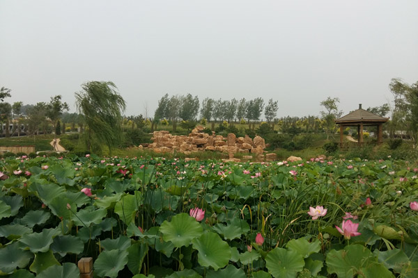 在沈阳陵园祭祀时不能带什么？需要带的物品有哪些？