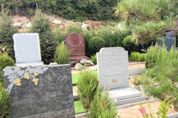 如果家属对沈阳公墓的位置或墓地选择有疑问，应该如何寻求帮助？