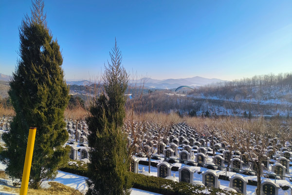 在沈阳观陵山墓地选择中,单人墓和双人墓分别适合哪些人群? 在沈阳观陵山墓地选择中,单人墓和双人墓分别适合哪些人群?