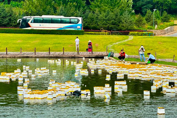 沈阳公墓卧碑与立碑的差异及选择考量! 沈阳公墓卧碑与立碑的差异及选择考量!