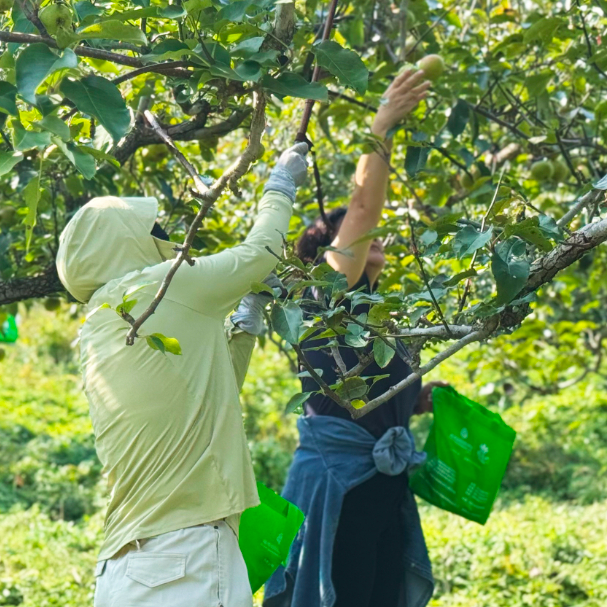 金秋游园会、共赴山河约，辽宁观陵山艺术园林公墓中秋活动