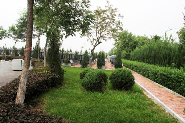 沈阳墓地绿色殡葬惠民政策：如何通过补贴与服务推动生态安葬？