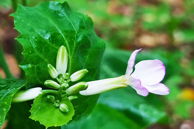 沈阳公墓以人文建设为抓手提高公墓的文化内涵和人性化管理