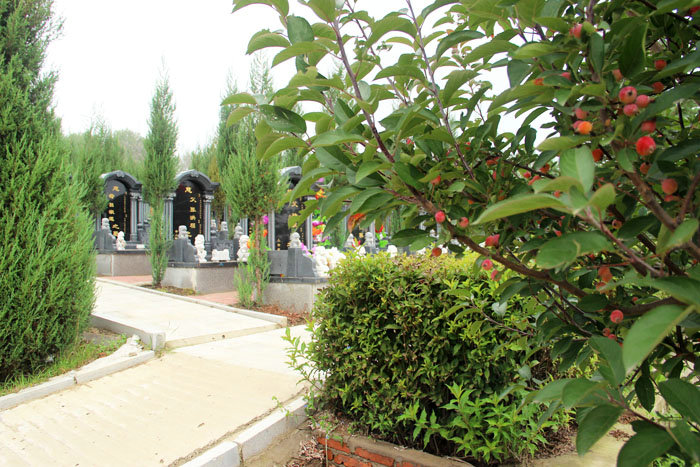 龙生墓园,沈阳龙生墓园