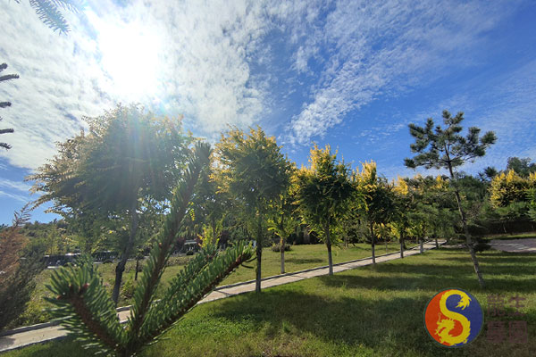 沈阳墓地陵园殡葬仪式策划