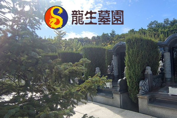 沈阳公益性墓地与经营性墓地:服务差异解析 沈阳公益性墓地与经营性墓地:服务差异解析