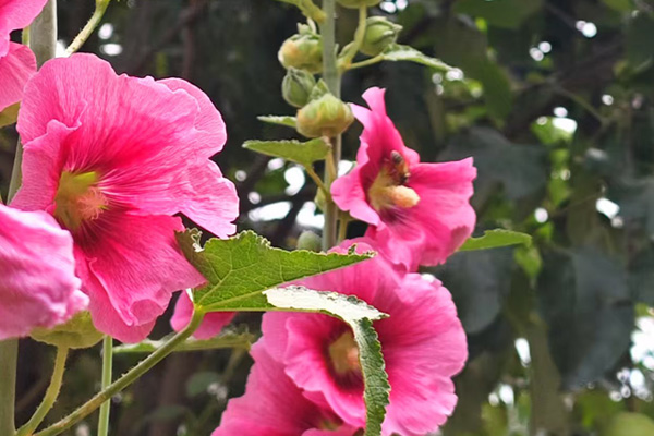 沈阳墓园选墓地 沈阳墓园选墓地