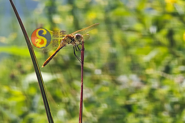 沈阳墓园选墓地有什么讲究