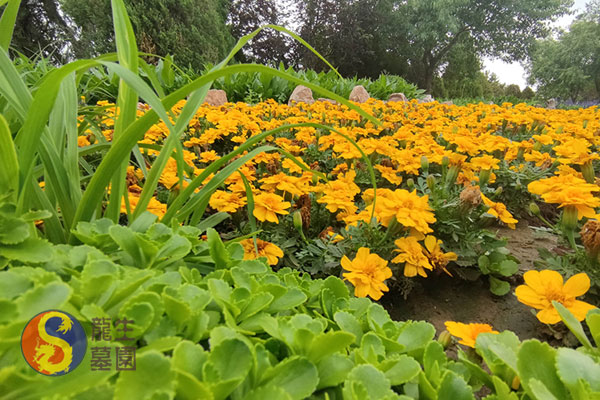 沈阳墓园殡仪接待服务规范