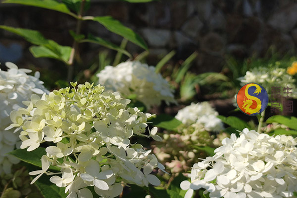 沈阳公墓信息化倡导网上祭扫等文明低碳祭扫方式